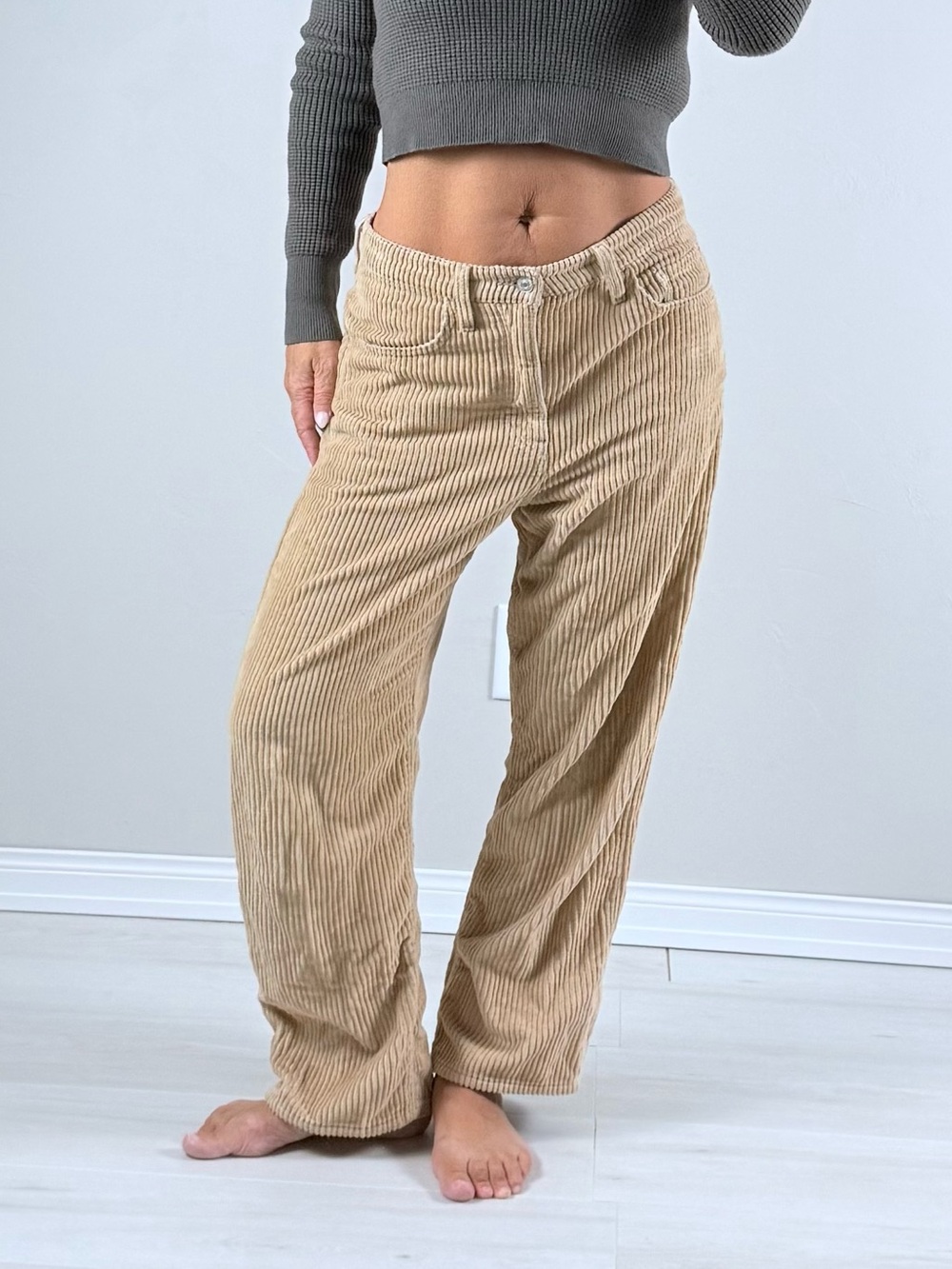Levi's Tan Corduroy High Rise Wide-Leg Baggy Pants